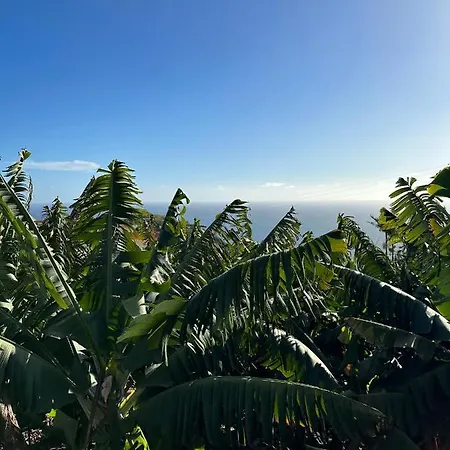 Oleander Madeira - Sunny - Ocean View - Swimming Pool * Tabua (Madeira)